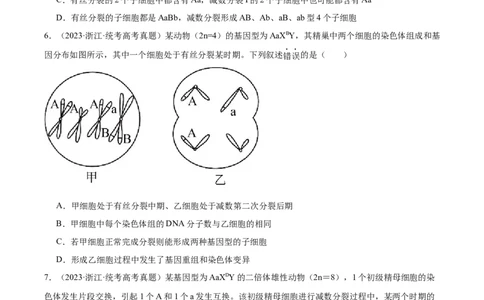 考点通关卷13减数分裂和受精作用（原卷版）_新高考复习资料_2024年新高考复习资料_一轮复习资料_完2024年高考生物一轮复习考点通关卷（新高考）_考点通关卷13减数分裂和受精作用