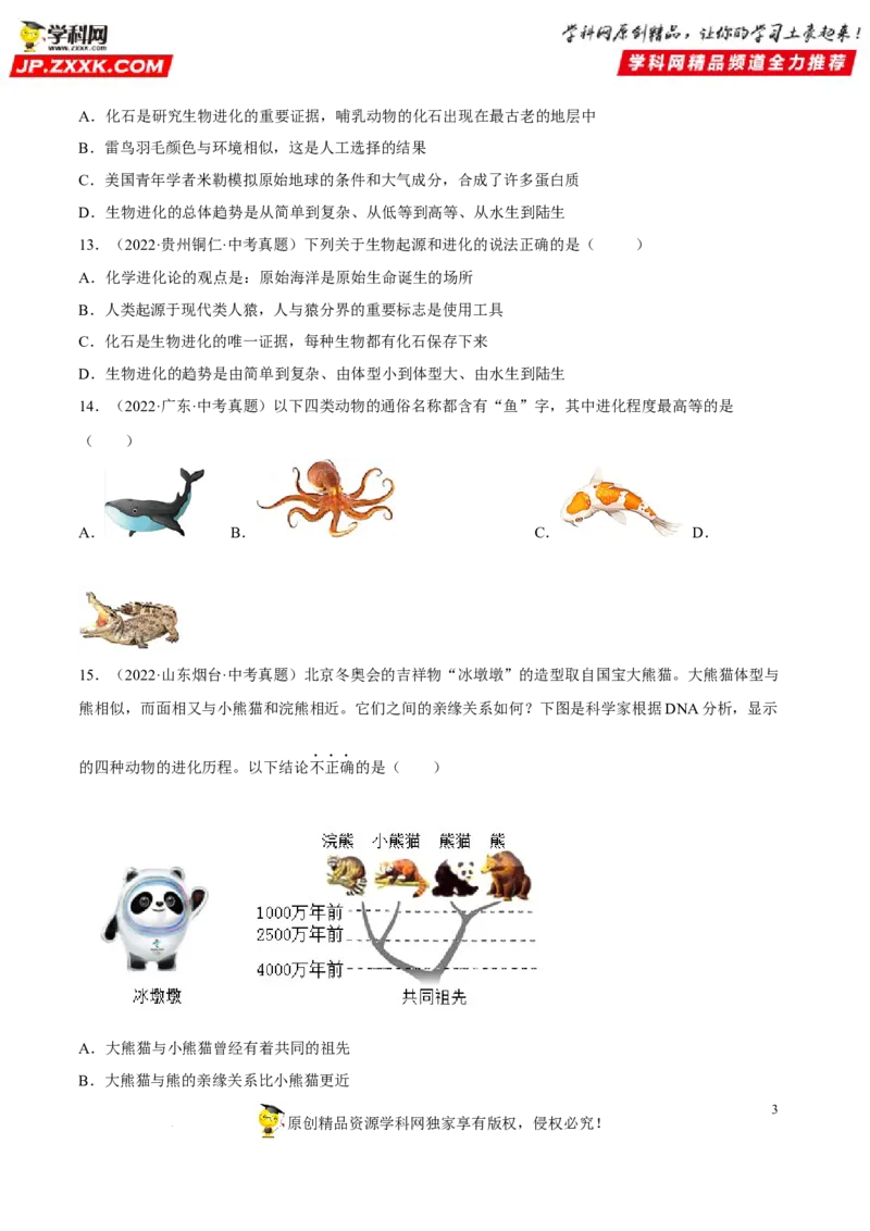 专题18生命的起源和生物的进化（习题帮）（原卷版）_6生物中考复习_2023年中考复习资料_一轮复习_备战2023年中考生物一轮复习考点帮（全国通用）288506454