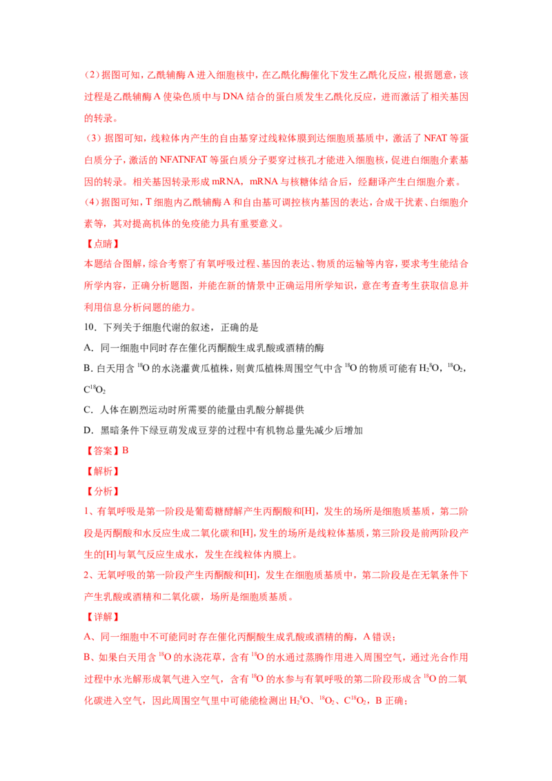 考点精讲5细胞呼吸的原理和应用（作业）_新高考复习资料_2022年新高考复习资料_2022届一轮复习讲练结合7.13更新_系列二_考点精讲5细胞呼吸的原理和应用