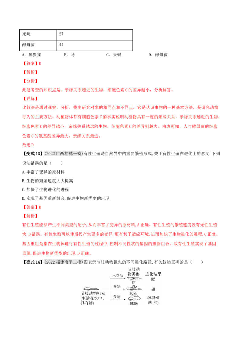 专题19生命的起源和进化（解析版）_6生物中考复习_2023年中考复习资料_专项复习_2023年中考生物总复习真题探究与变式训练（全国通用）