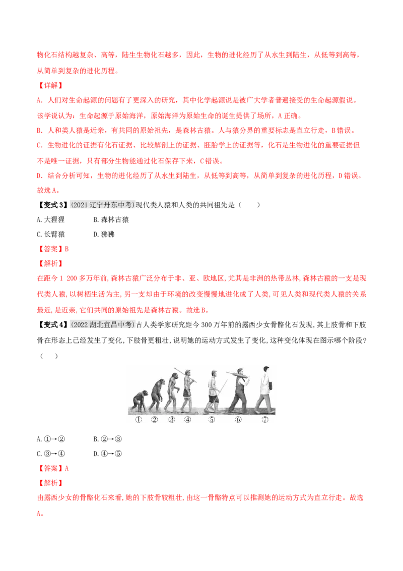 专题19生命的起源和进化（解析版）_6生物中考复习_2023年中考复习资料_专项复习_2023年中考生物总复习真题探究与变式训练（全国通用）