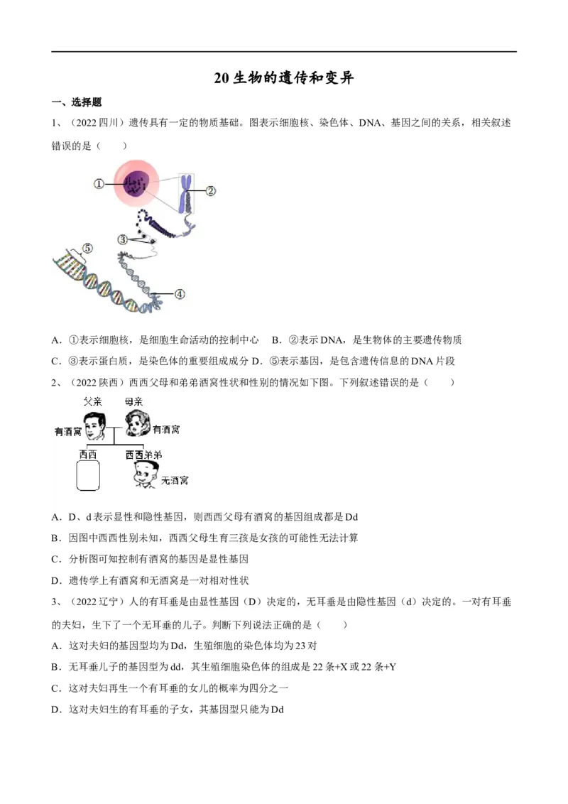 专题20生物的遗传和变异（原卷版）_6生物中考复习_2023年中考复习资料_一轮复习_2023年中考生物一轮复习讲练测_专题20生物的遗传和变异（专题精练）-2023年中考生物一轮复习讲练测