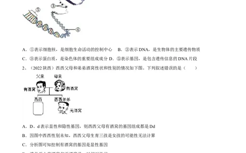 专题20生物的遗传和变异（原卷版）_6生物中考复习_2023年中考复习资料_一轮复习_2023年中考生物一轮复习讲练测_专题20生物的遗传和变异（专题精练）-2023年中考生物一轮复习讲练测