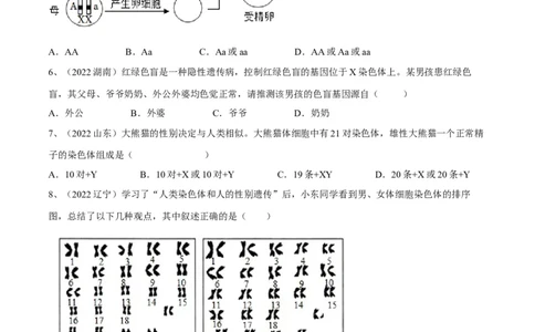 专题20生物的遗传和变异（原卷版）_6生物中考复习_2023年中考复习资料_一轮复习_2023年中考生物一轮复习讲练测_专题20生物的遗传和变异（专题精练）-2023年中考生物一轮复习讲练测