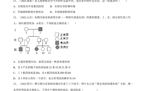 专题20生物的遗传和变异（原卷版）_6生物中考复习_2023年中考复习资料_一轮复习_2023年中考生物一轮复习讲练测_专题20生物的遗传和变异（专题精练）-2023年中考生物一轮复习讲练测
