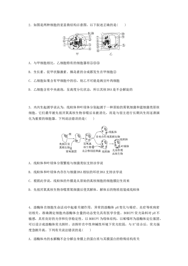 考点08细胞器之间的分工合作（原卷版）_通用版（老高考）复习资料_2023年复习资料_一轮复习_2023年高考生物一轮复习讲练测（全国通用）