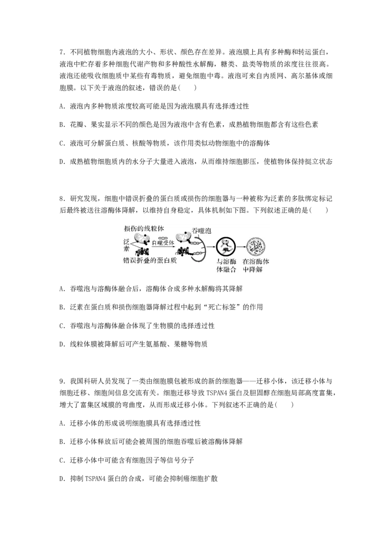 考点08细胞器之间的分工合作（原卷版）_通用版（老高考）复习资料_2023年复习资料_一轮复习_2023年高考生物一轮复习讲练测（全国通用）
