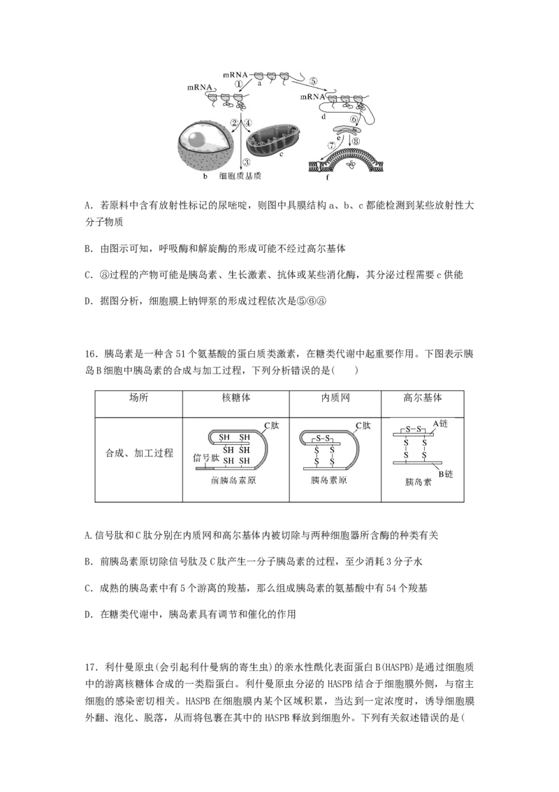 考点08细胞器之间的分工合作（原卷版）_通用版（老高考）复习资料_2023年复习资料_一轮复习_2023年高考生物一轮复习讲练测（全国通用）