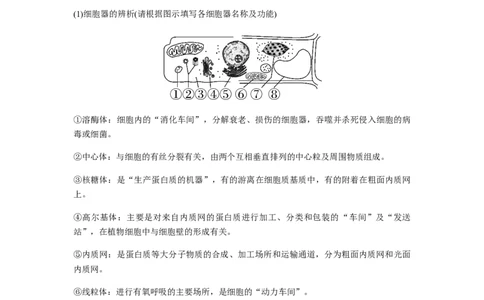 考点08细胞器之间的分工合作（原卷版）_通用版（老高考）复习资料_2023年复习资料_一轮复习_2023年高考生物一轮复习讲练测（全国通用）