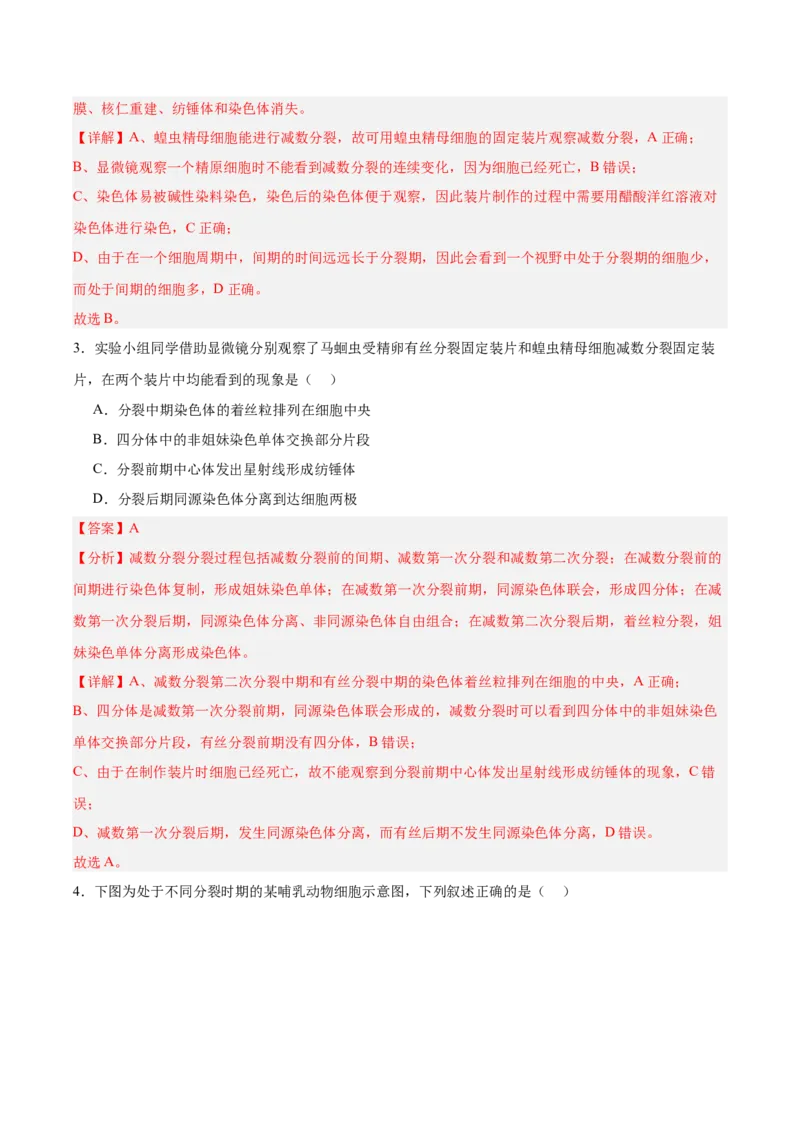 考点通关卷13减数分裂和受精作用（解析版）_新高考复习资料_2025年新高考资料_2025年高考生物一轮复习考点通关卷（新高考通用）