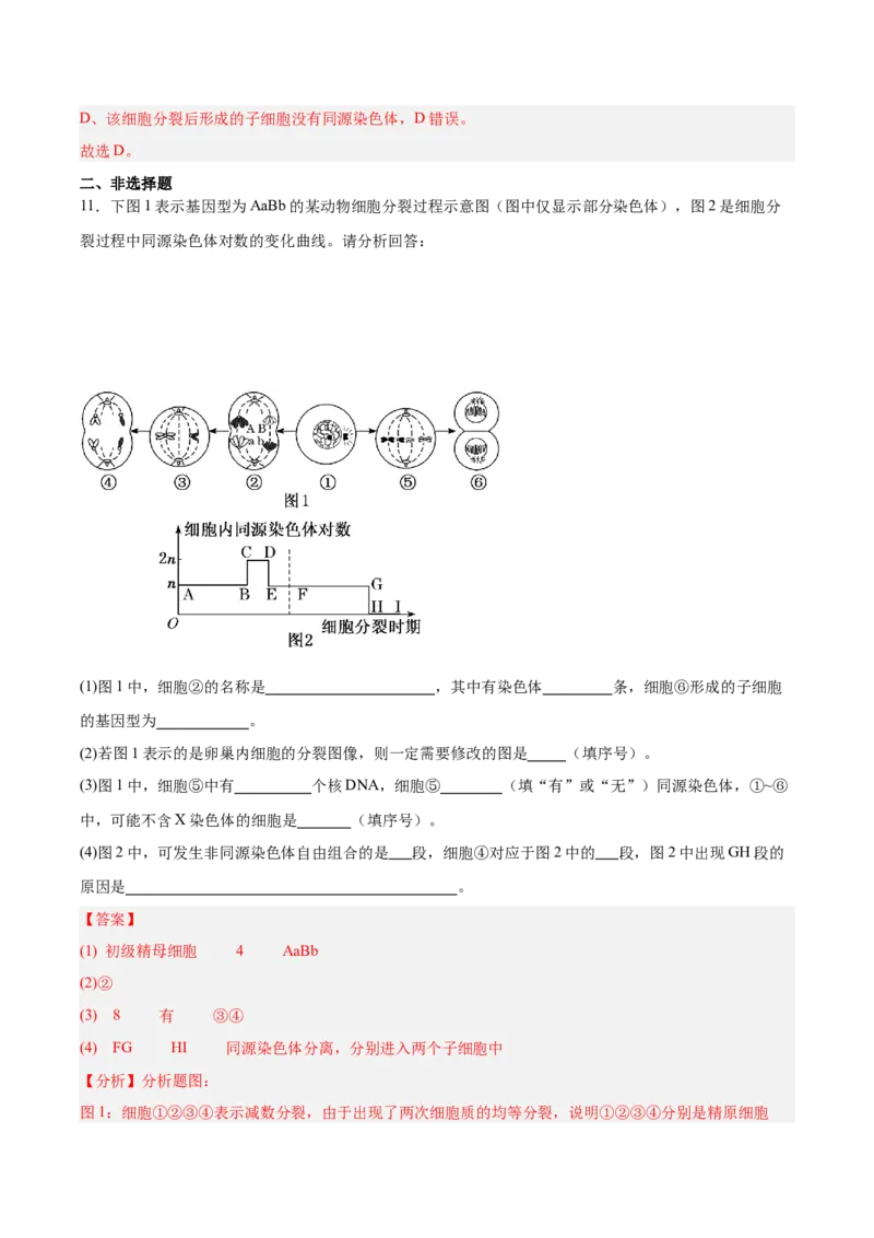 考点通关卷13减数分裂和受精作用（解析版）_新高考复习资料_2025年新高考资料_2025年高考生物一轮复习考点通关卷（新高考通用）