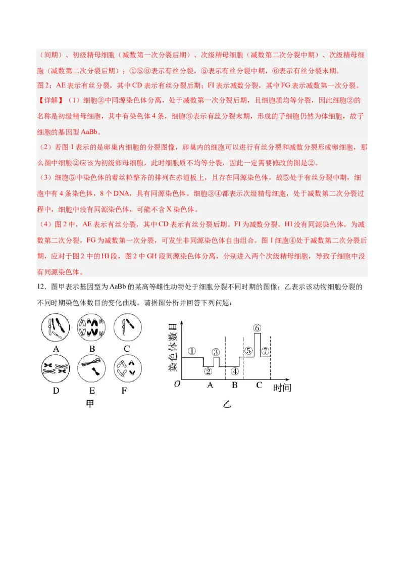 考点通关卷13减数分裂和受精作用（解析版）_新高考复习资料_2025年新高考资料_2025年高考生物一轮复习考点通关卷（新高考通用）