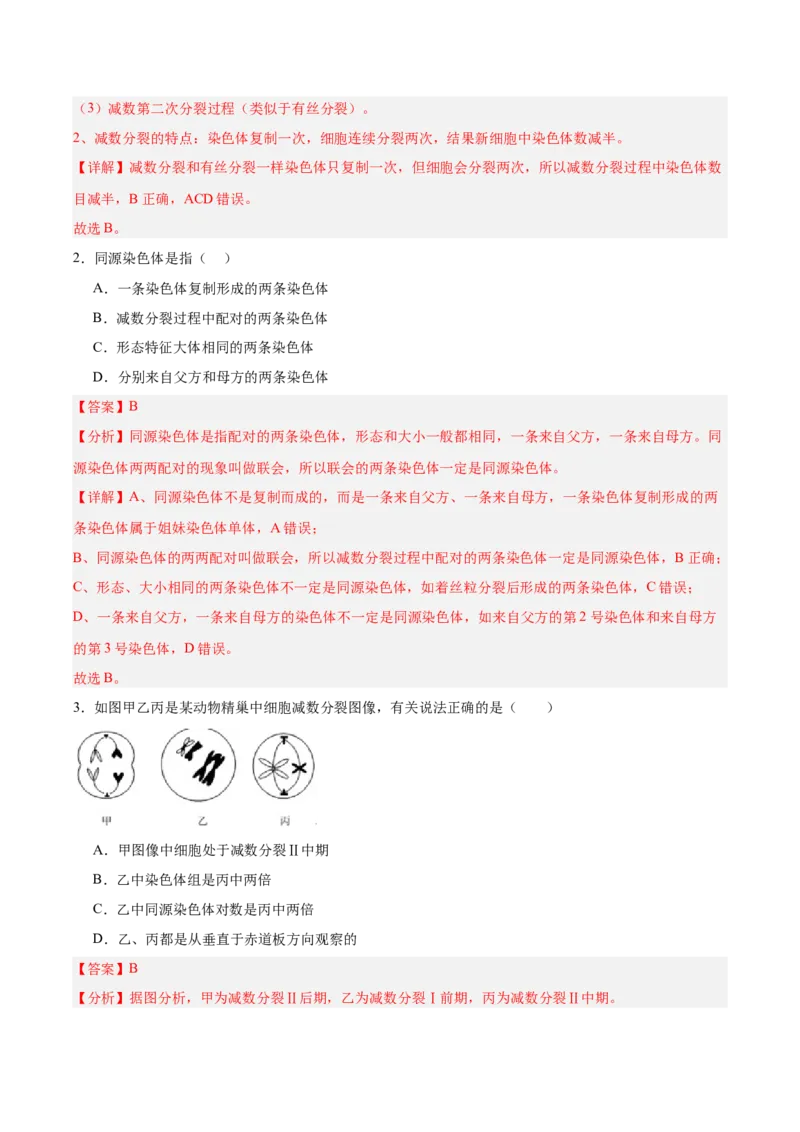 考点通关卷13减数分裂和受精作用（解析版）_新高考复习资料_2025年新高考资料_2025年高考生物一轮复习考点通关卷（新高考通用）