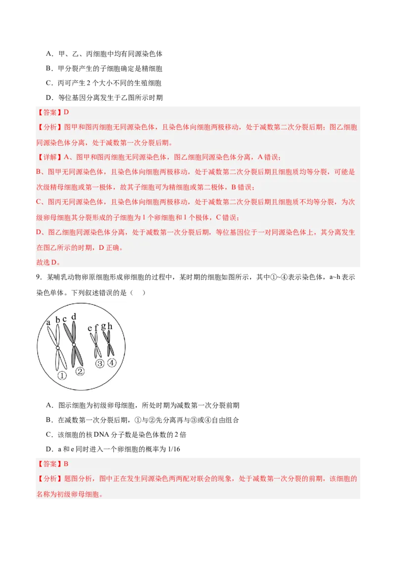 考点通关卷13减数分裂和受精作用（解析版）_新高考复习资料_2025年新高考资料_2025年高考生物一轮复习考点通关卷（新高考通用）