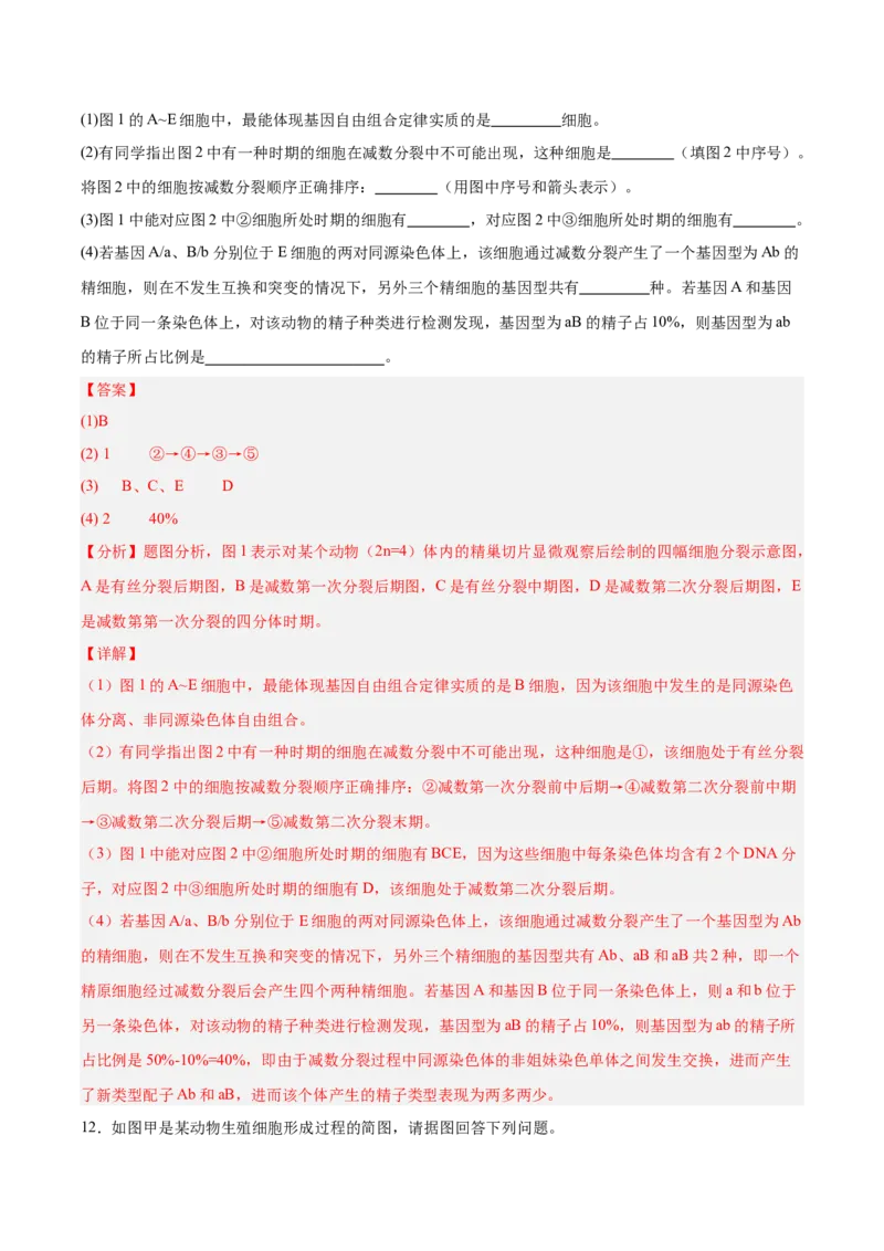 考点通关卷13减数分裂和受精作用（解析版）_新高考复习资料_2025年新高考资料_2025年高考生物一轮复习考点通关卷（新高考通用）