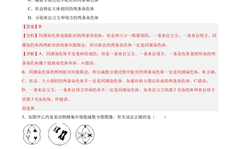考点通关卷13减数分裂和受精作用（解析版）_新高考复习资料_2025年新高考资料_2025年高考生物一轮复习考点通关卷（新高考通用）
