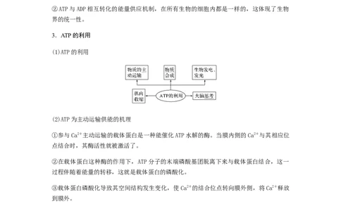 考点10ATP和酶（原卷版）_通用版（老高考）复习资料_2023年复习资料_一轮复习_2023年高考生物一轮复习讲练测（全国通用）