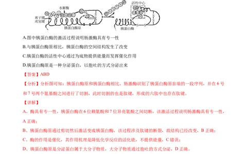 考点04酶和ATP-2022年高考生物一轮复习小题多维练（新高考专用）（解析版）_新高考复习资料_2022年新高考复习资料_2022年高考生物一轮复习小题多维练（新高考专用）8.8更新