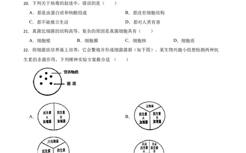 人教版2023届中考一轮复习专用训练卷&mdash;专题19动物在生物圈中的作用、细菌和真菌、病毒（含答案）_6生物中考复习_2023年中考复习资料_一轮复习