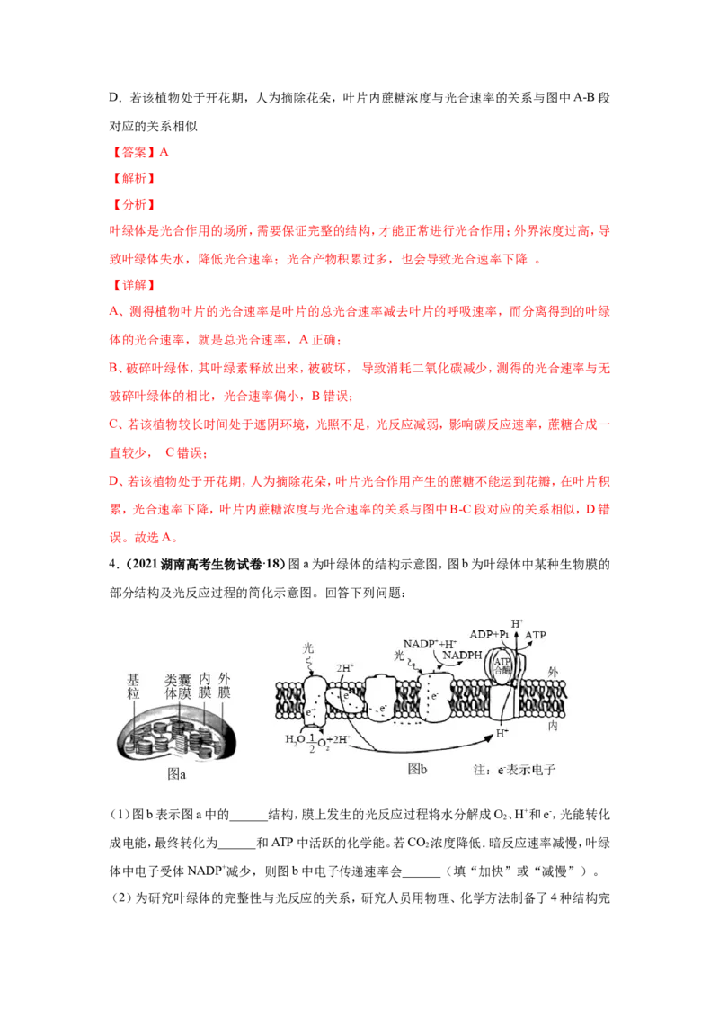 考点精讲6光合作用与能量转化（作业）_新高考复习资料_2022年新高考复习资料_2022届一轮复习讲练结合7.13更新_系列二_考点精讲6光合作用与能量转化