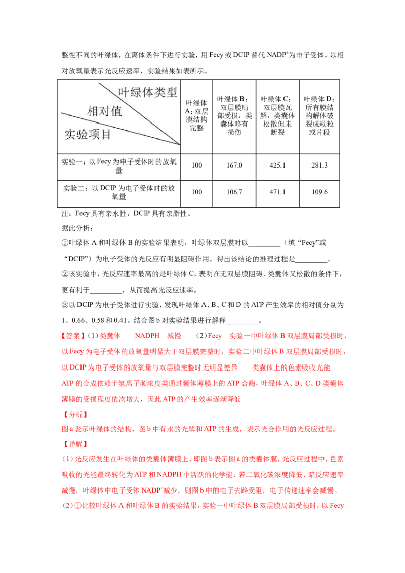 考点精讲6光合作用与能量转化（作业）_新高考复习资料_2022年新高考复习资料_2022届一轮复习讲练结合7.13更新_系列二_考点精讲6光合作用与能量转化