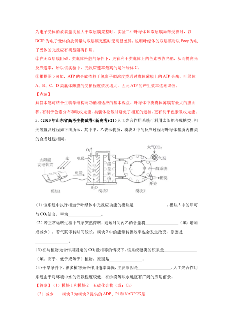 考点精讲6光合作用与能量转化（作业）_新高考复习资料_2022年新高考复习资料_2022届一轮复习讲练结合7.13更新_系列二_考点精讲6光合作用与能量转化