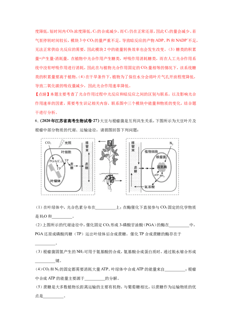 考点精讲6光合作用与能量转化（作业）_新高考复习资料_2022年新高考复习资料_2022届一轮复习讲练结合7.13更新_系列二_考点精讲6光合作用与能量转化