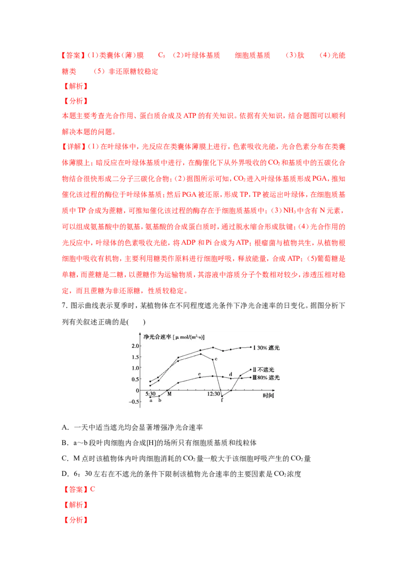 考点精讲6光合作用与能量转化（作业）_新高考复习资料_2022年新高考复习资料_2022届一轮复习讲练结合7.13更新_系列二_考点精讲6光合作用与能量转化