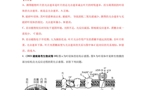 考点精讲6光合作用与能量转化（作业）_新高考复习资料_2022年新高考复习资料_2022届一轮复习讲练结合7.13更新_系列二_考点精讲6光合作用与能量转化