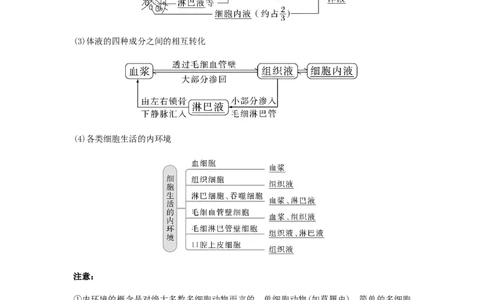 考点24人体内环境稳态（原卷版）_通用版（老高考）复习资料_2023年复习资料_一轮复习_2023年高考生物一轮复习讲练测（全国通用）