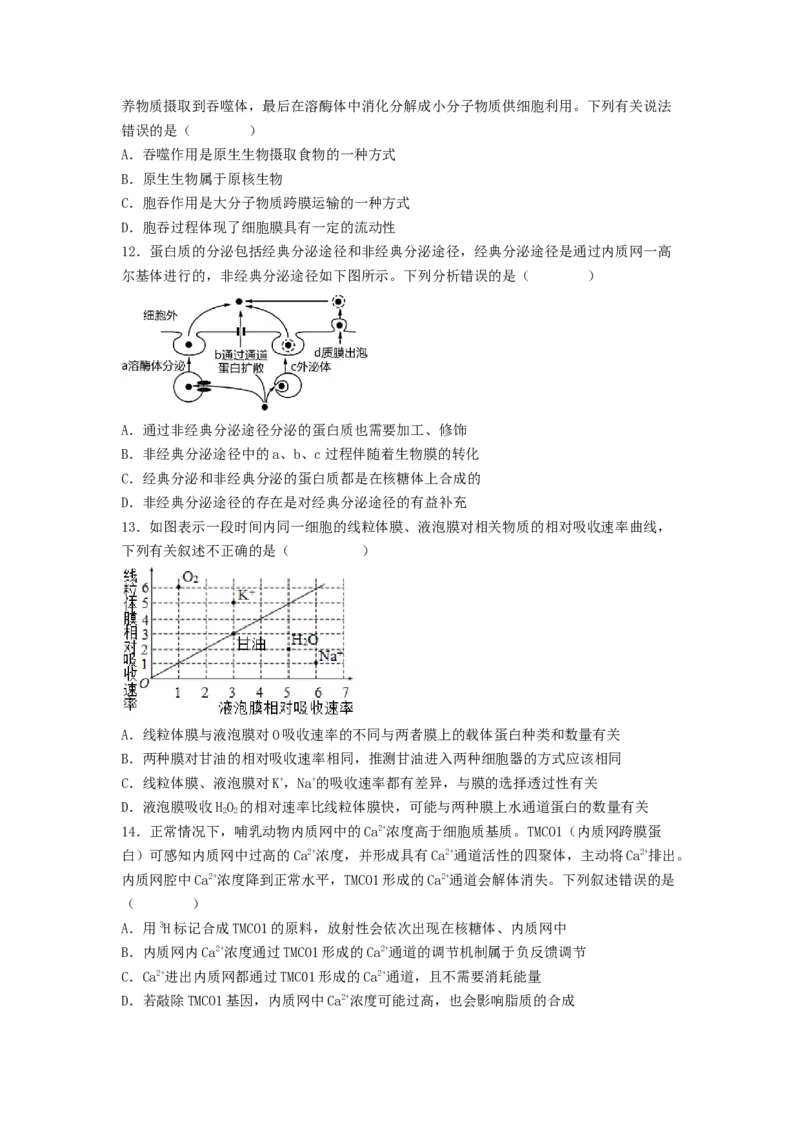 考点09细胞内物质的输入和输出（原卷版）_通用版（老高考）复习资料_2023年复习资料_一轮复习_2023年高考生物一轮复习讲练测（全国通用）