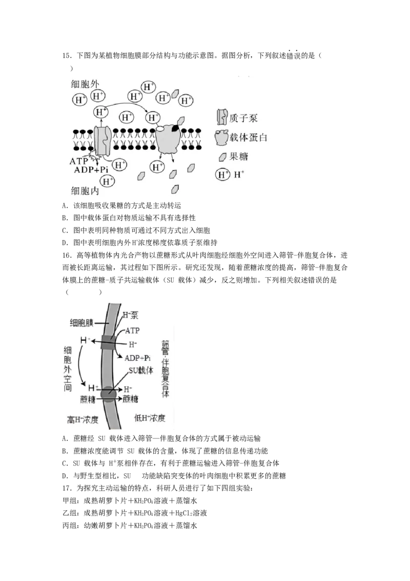 考点09细胞内物质的输入和输出（原卷版）_通用版（老高考）复习资料_2023年复习资料_一轮复习_2023年高考生物一轮复习讲练测（全国通用）