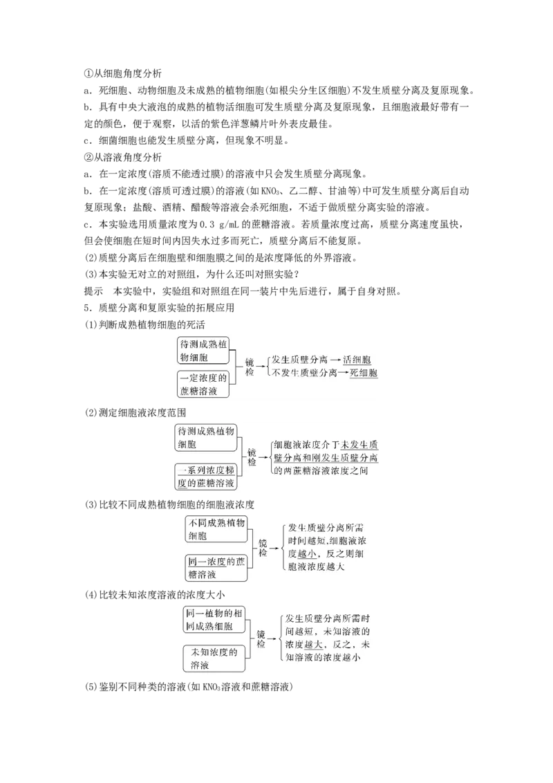 考点09细胞内物质的输入和输出（原卷版）_通用版（老高考）复习资料_2023年复习资料_一轮复习_2023年高考生物一轮复习讲练测（全国通用）