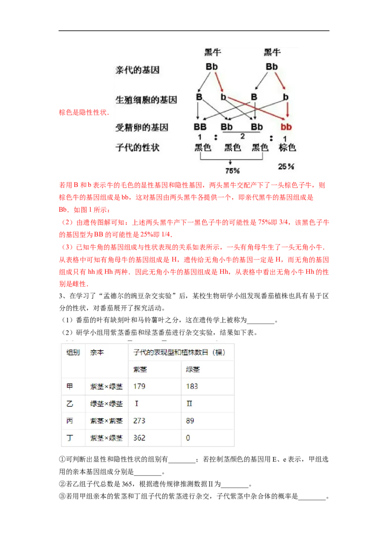 专题20生物的遗传与变异-2022年中考生物一轮复习抓重点考典型（人教版）（解析版）_6生物中考复习_2023年中考复习资料_一轮复习_2022年中考生物一轮复习抓重点考典型（人教版）