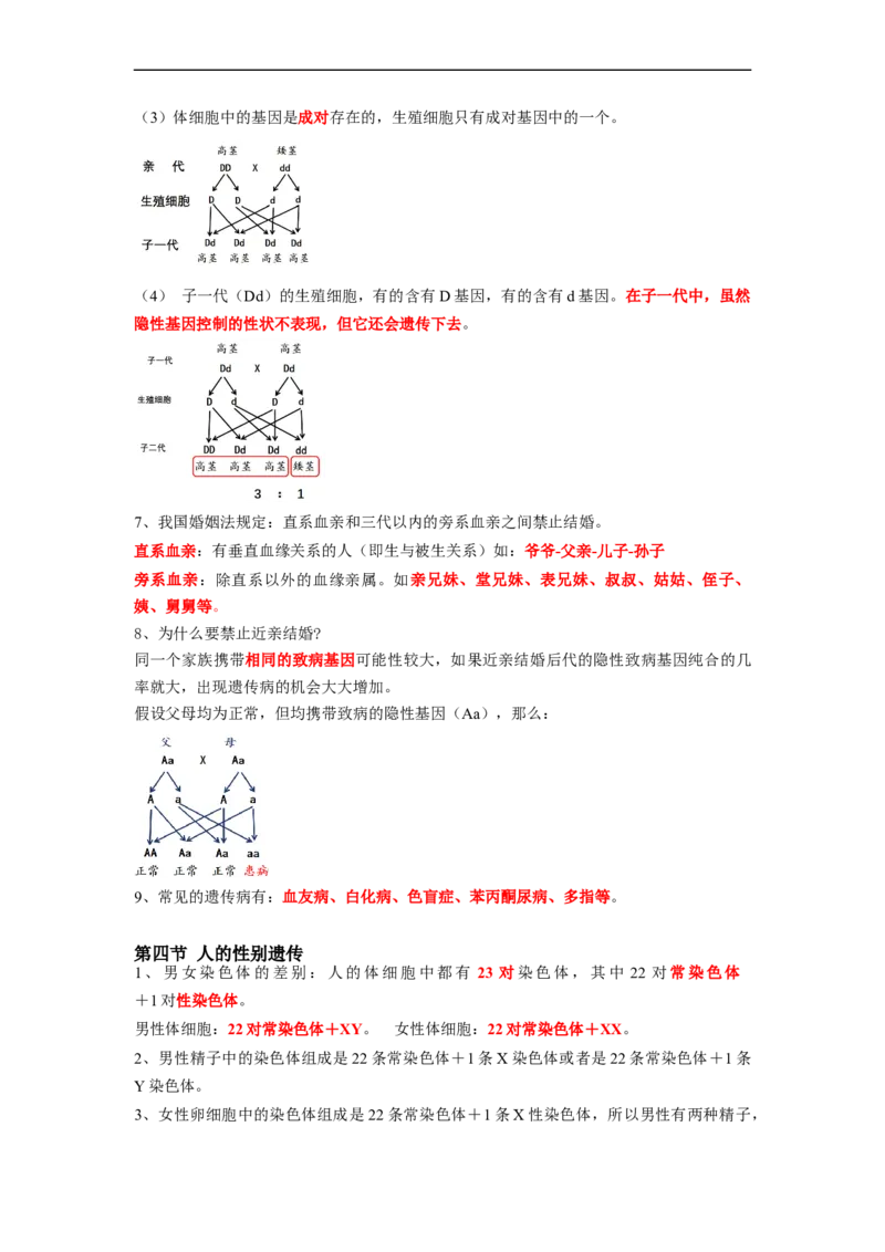 专题20生物的遗传与变异-2022年中考生物一轮复习抓重点考典型（人教版）（解析版）_6生物中考复习_2023年中考复习资料_一轮复习_2022年中考生物一轮复习抓重点考典型（人教版）