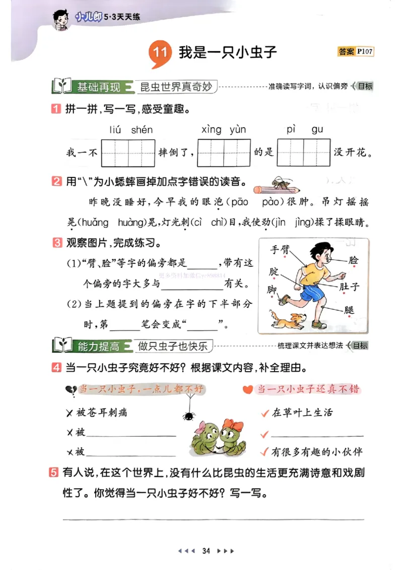 53天天练人教语文2下_26春53小学系列合集_1-6年级语文下册人教版《53天天练》