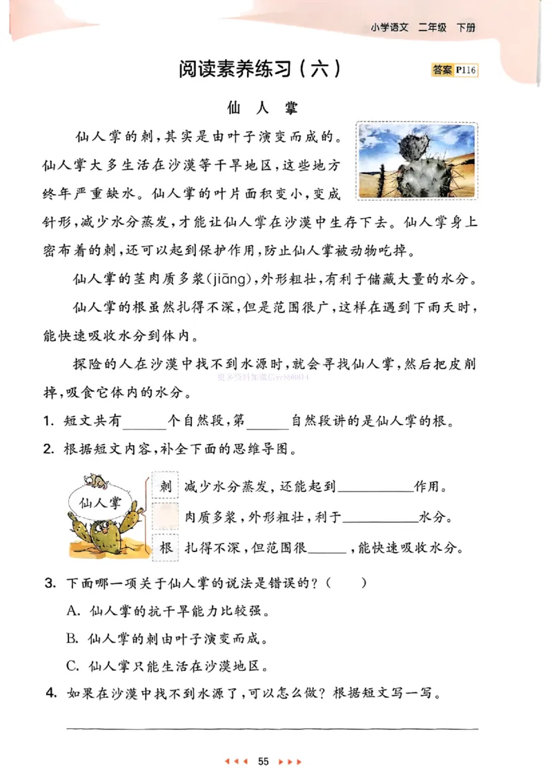 53天天练人教语文2下_26春53小学系列合集_1-6年级语文下册人教版《53天天练》
