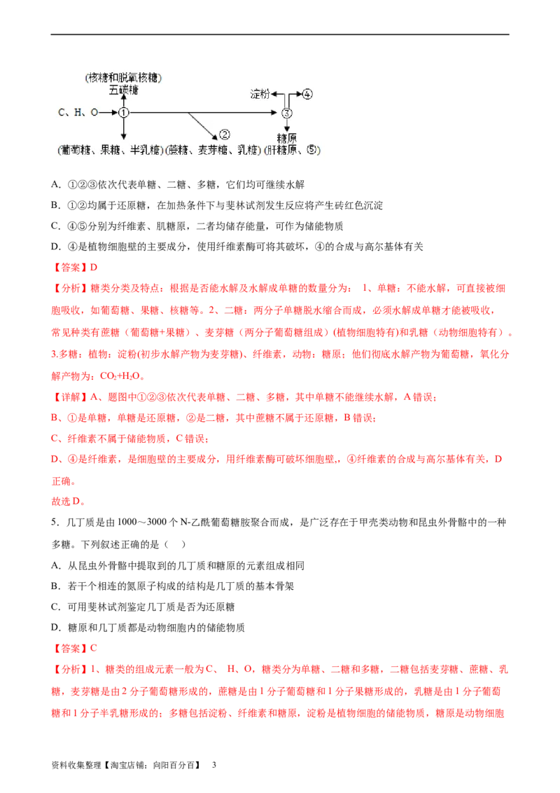 考点通关卷03糖类和脂质（解析版）_新高考复习资料_2024年新高考复习资料_一轮复习资料_完2024年高考生物一轮复习考点通关卷（新高考）_考点通关卷03糖类和脂质