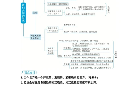 中考道德与法治复习九年级下册第一单元我们共同的世界教案_9道法中考复习_2026年中考复习（更新中）_2026年道德与法治中考一轮复习知识梳理+主题突破教案