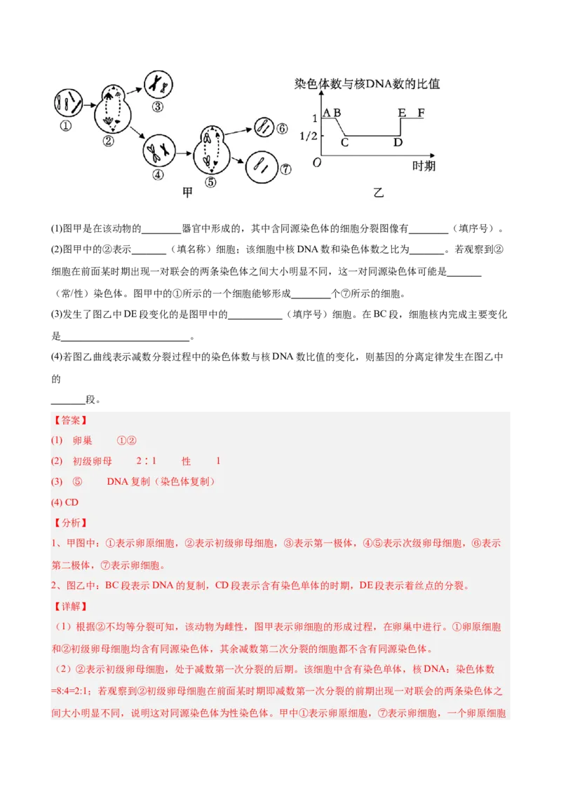 考点通关卷13减数分裂和受精作用（解析版）_2025年新高考资料_一轮复习_2025年高考生物一轮复习考点通关卷（新高考通用）