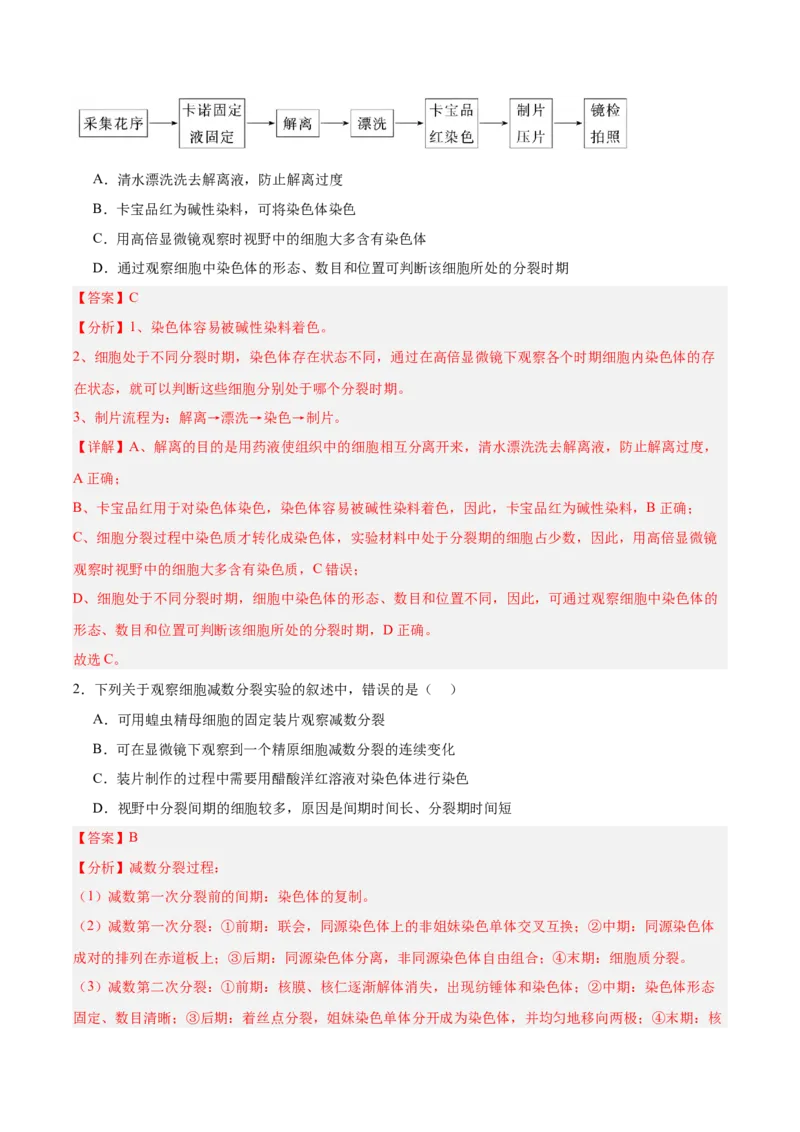 考点通关卷13减数分裂和受精作用（解析版）_2025年新高考资料_一轮复习_2025年高考生物一轮复习考点通关卷（新高考通用）