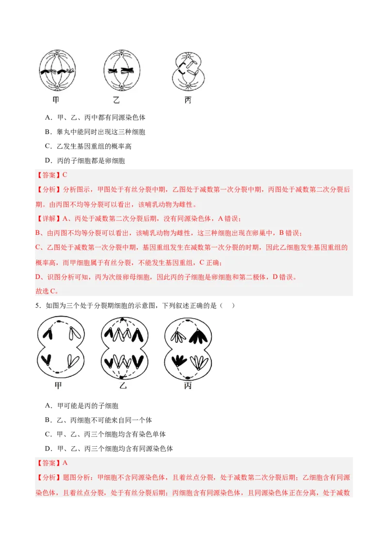 考点通关卷13减数分裂和受精作用（解析版）_2025年新高考资料_一轮复习_2025年高考生物一轮复习考点通关卷（新高考通用）