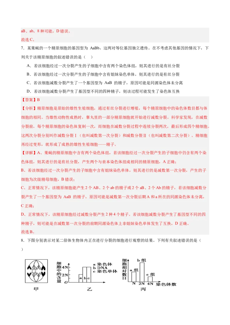 考点通关卷13减数分裂和受精作用（解析版）_2025年新高考资料_一轮复习_2025年高考生物一轮复习考点通关卷（新高考通用）