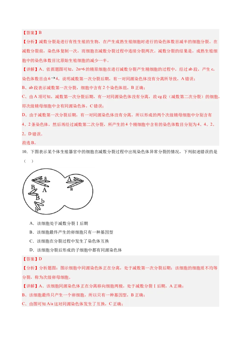考点通关卷13减数分裂和受精作用（解析版）_2025年新高考资料_一轮复习_2025年高考生物一轮复习考点通关卷（新高考通用）