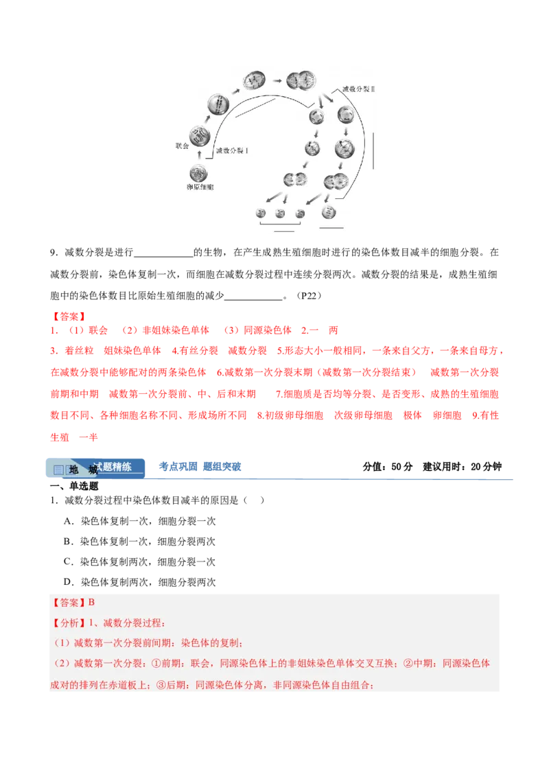 考点通关卷13减数分裂和受精作用（解析版）_2025年新高考资料_一轮复习_2025年高考生物一轮复习考点通关卷（新高考通用）