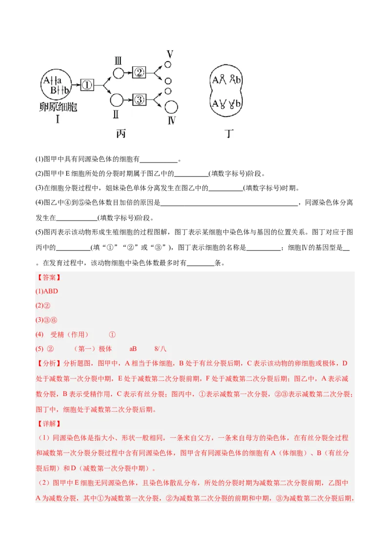 考点通关卷13减数分裂和受精作用（解析版）_2025年新高考资料_一轮复习_2025年高考生物一轮复习考点通关卷（新高考通用）