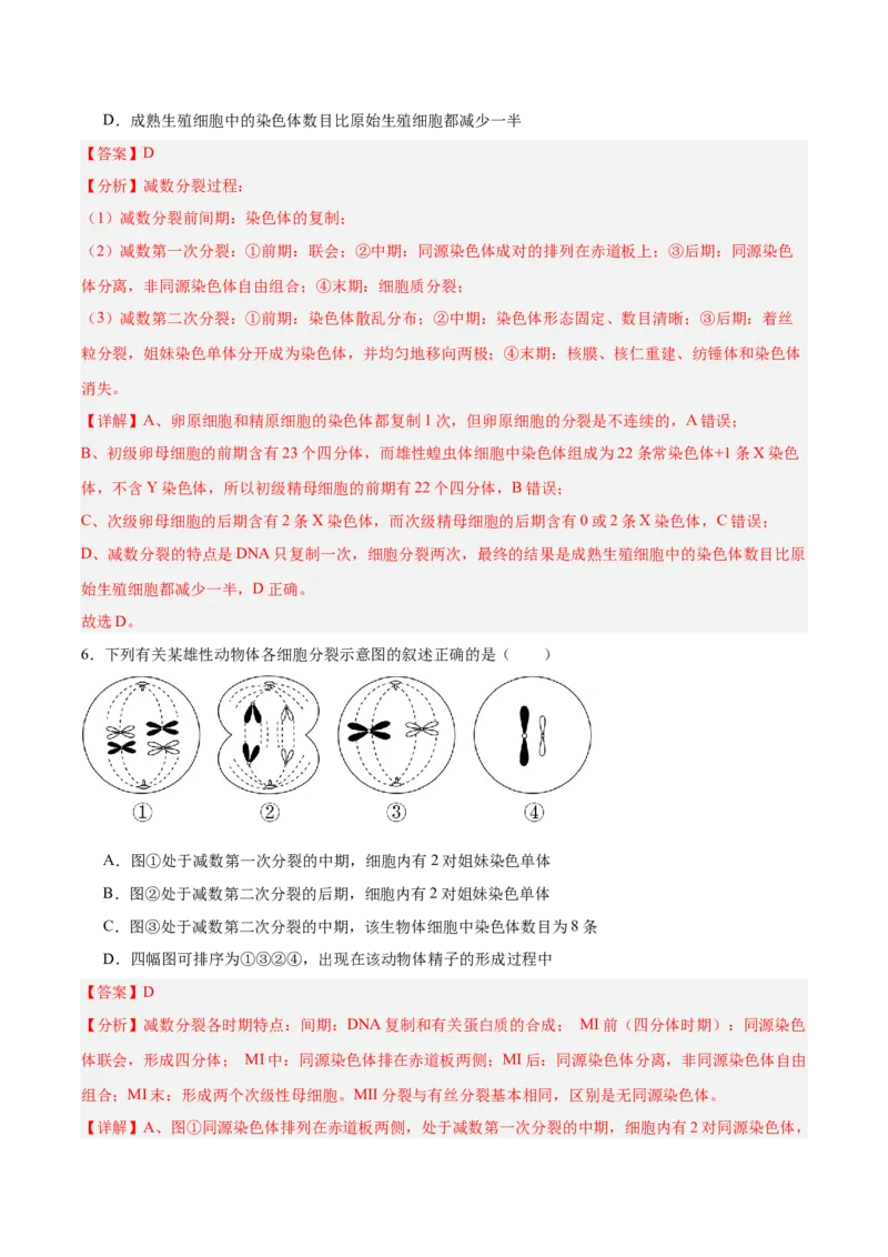 考点通关卷13减数分裂和受精作用（解析版）_2025年新高考资料_一轮复习_2025年高考生物一轮复习考点通关卷（新高考通用）