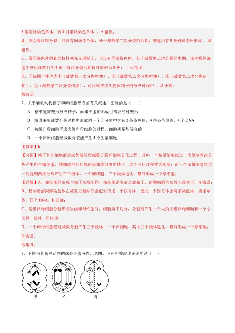 考点通关卷13减数分裂和受精作用（解析版）_2025年新高考资料_一轮复习_2025年高考生物一轮复习考点通关卷（新高考通用）