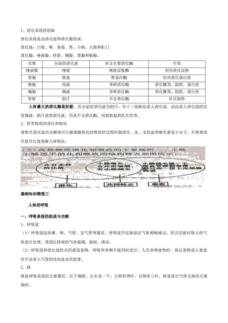 专题五人体的营养和呼吸-2023年中考生物核心考点必背合集_6生物中考复习_2023年中考复习资料_专项复习_2023年中考生物核心考点必背合集-----