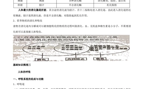 专题五人体的营养和呼吸-2023年中考生物核心考点必背合集_6生物中考复习_2023年中考复习资料_专项复习_2023年中考生物核心考点必背合集-----